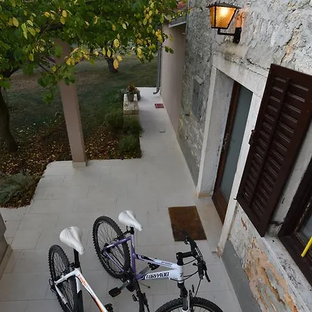 Brhanici *